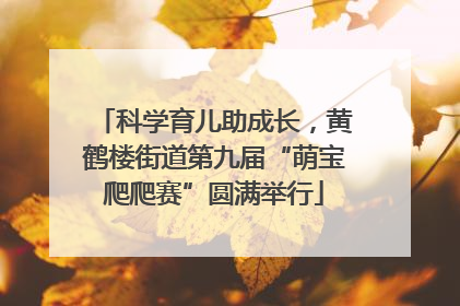 科学育儿助成长，黄鹤楼街道第九届“萌宝爬爬赛”圆满举行