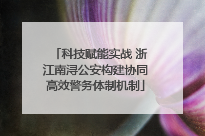 科技赋能实战 浙江南浔公安构建协同高效警务体制机制