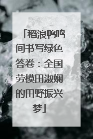 稻浪鸭鸣间书写绿色答卷：全国劳模田淑娴的田野振兴梦