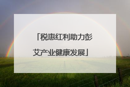 税惠红利助力彭艾产业健康发展