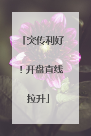 突传利好！开盘直线拉升