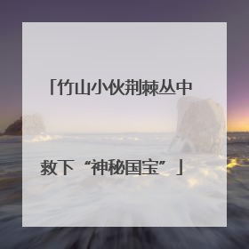竹山小伙荆棘丛中救下“神秘国宝”