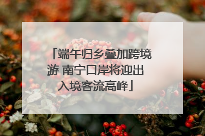 端午归乡叠加跨境游 南宁口岸将迎出入境客流高峰