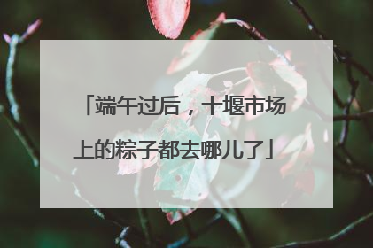 端午过后，十堰市场上的粽子都去哪儿了