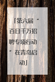 第六届“百日千万招聘专项行动”在青岛启动
