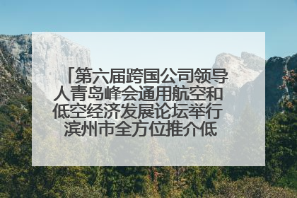 第六届跨国公司领导人青岛峰会通用航空和低空经济发展论坛举行 滨州市全方位推介低空经济发展优势