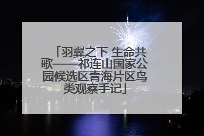 羽翼之下 生命共歌——祁连山国家公园候选区青海片区鸟类观察手记