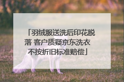 羽绒服送洗后印花脱落 客户质疑京东洗衣不按折旧标准赔偿