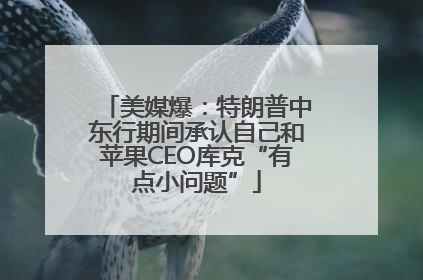 美媒爆：特朗普中东行期间承认自己和苹果CEO库克“有点小问题”