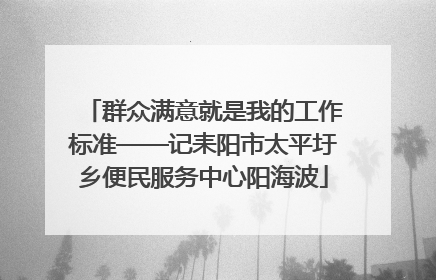 群众满意就是我的工作标准——记耒阳市太平圩乡便民服务中心阳海波