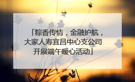 粽香传情，金融护航，大家人寿宜昌中心支公司开展端午暖心活动