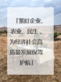 紧盯企业、农业、民生，为经济社会高质量发展保驾护航