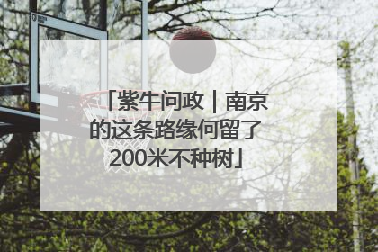 紫牛问政｜南京的这条路缘何留了200米不种树