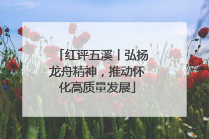 红评五溪丨弘扬龙舟精神，推动怀化高质量发展