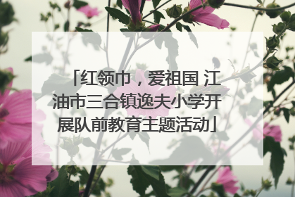 红领巾，爱祖国 江油市三合镇逸夫小学开展队前教育主题活动