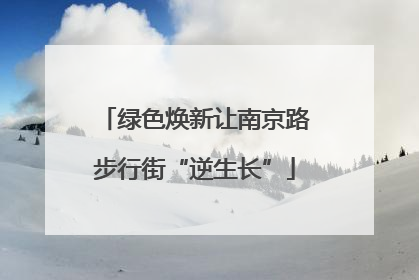 绿色焕新让南京路步行街“逆生长”