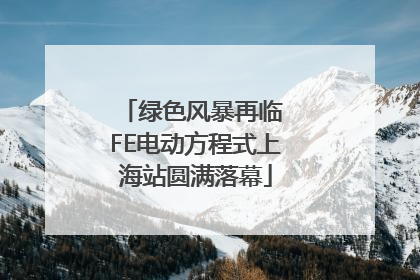 绿色风暴再临 FE电动方程式上海站圆满落幕