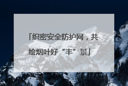 织密安全防护网，共绘烟叶好“丰”景