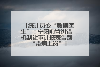 统计员变“数据医生”：宁阳前置纠错机制让审计报表告别“带病上岗”