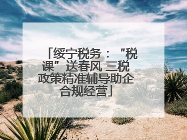 绥宁税务：“税课”送春风 三税政策精准辅导助企合规经营