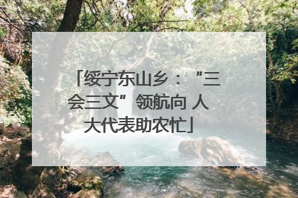 绥宁东山乡：“三会三文”领航向 人大代表助农忙