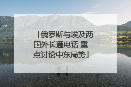 俄罗斯与埃及两国外长通电话 重点讨论中东局势