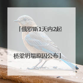 俄罗斯1天内2起桥梁坍塌原因公布