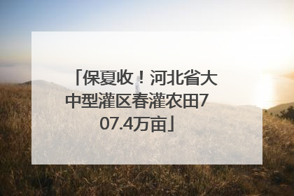 保夏收！河北省大中型灌区春灌农田707.4万亩