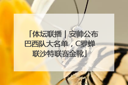 体坛联播｜安帅公布巴西队大名单，C罗蝉联沙特联赛金靴