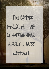 何以中国·行走海南｜感知中国商业航天发展，从文昌开始