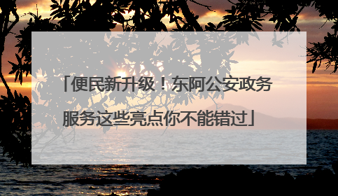 便民新升级！东阿公安政务服务这些亮点你不能错过