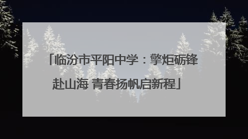 临汾市平阳中学：擎炬砺锋赴山海 青春扬帆启新程
