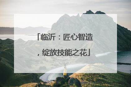临沂：匠心智造，绽放技能之花