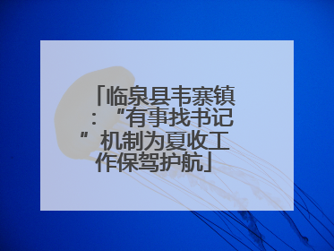 临泉县韦寨镇：“有事找书记”机制为夏收工作保驾护航