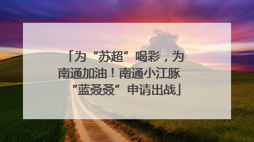 为“苏超”喝彩，为南通加油！南通小江豚“蓝叒叒”申请出战