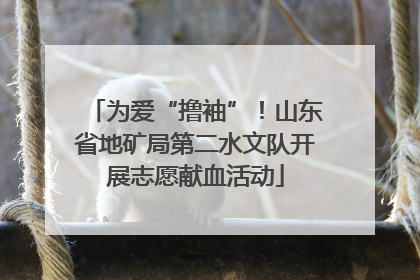 为爱“撸袖”！山东省地矿局第二水文队开展志愿献血活动