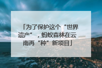 为了保护这个“世界遗产”，蚂蚁森林在云南再“种”新项目