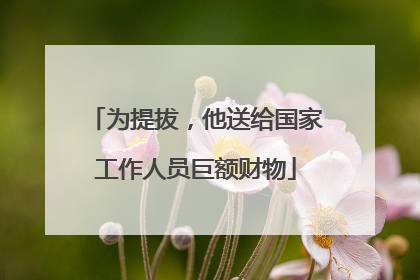为提拔，他送给国家工作人员巨额财物