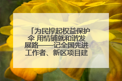 为民撑起权益保护伞 用情铺就和谐发展路——记全国先进工作者、新区项目建设中心干部卢小勇