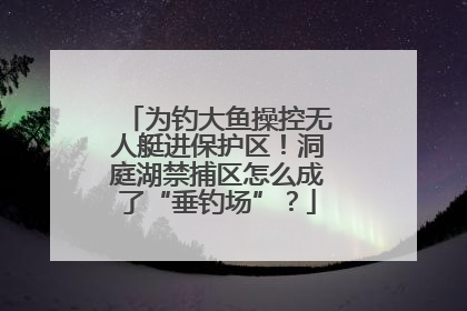 为钓大鱼操控无人艇进保护区！洞庭湖禁捕区怎么成了“垂钓场”？