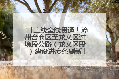 主线全线贯通！漳州台商区至龙文区过境段公路（龙文区段）建设进度条刷新