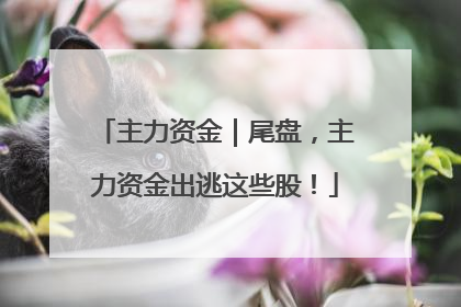 主力资金｜尾盘，主力资金出逃这些股！