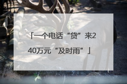 一个电话“贷”来240万元“及时雨”