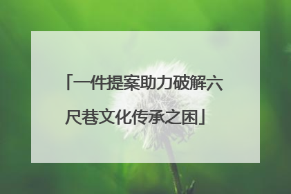 一件提案助力破解六尺巷文化传承之困