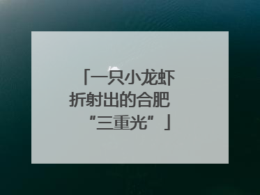 一只小龙虾折射出的合肥“三重光”