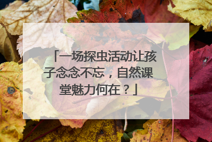 一场探虫活动让孩子念念不忘，自然课堂魅力何在？