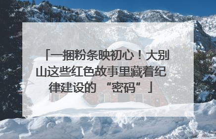 一捆粉条映初心！大别山这些红色故事里藏着纪律建设的 “密码”