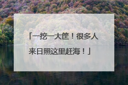 一挖一大筐！很多人来日照这里赶海！