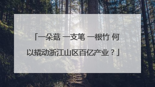 一朵菇 一支笔 一根竹 何以撬动浙江山区百亿产业？