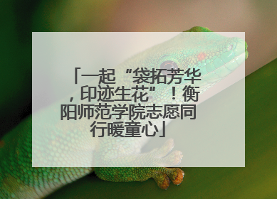 一起“袋拓芳华，印迹生花”！衡阳师范学院志愿同行暖童心